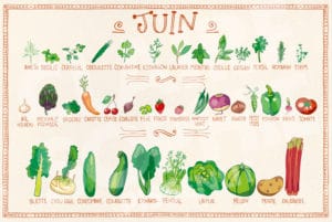 fruits et légumes de Juin