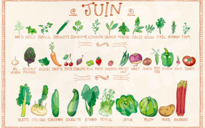 Fruits et légumes du mois de juin 🍒