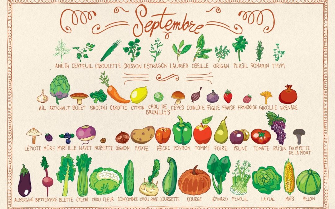 fruits et légumes septembre