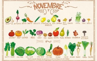 Fruits et légumes du mois de novembre 🥑